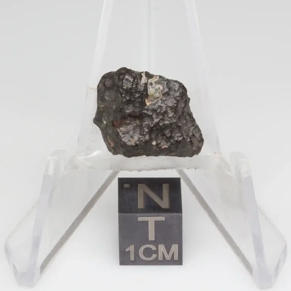 NWA 14353 CVred3 Meteorite 1.5g