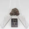 NWA 14353 CVred3 Meteorite 1.3g