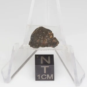 NWA 14353 CVred3 Meteorite 1.3g