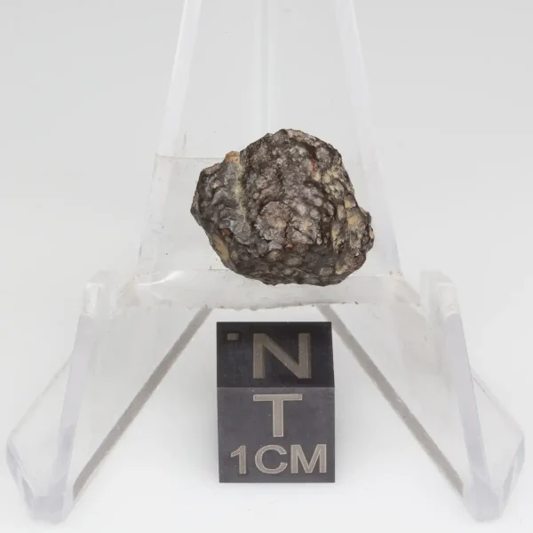 NWA 14353 CVred3 Meteorite 1.2g