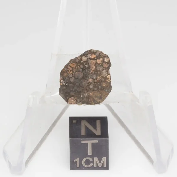 NWA 14353 CVred3 Meteorite 1.2g