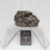 NWA 14353 CVred3 Meteorite 1.6g