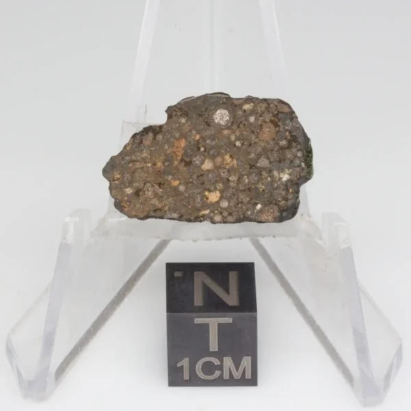 NWA 14353 CVred3 Meteorite 1.6g