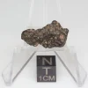 NWA 14353 CVred3 Meteorite 1.3g