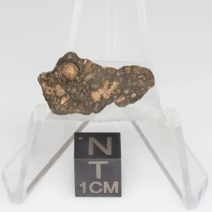 NWA 14353 CVred3 Meteorite 1.3g