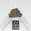 NWA 14353 CVred3 Meteorite 1.6g