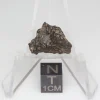 NWA 14353 CVred3 Meteorite 1.6g