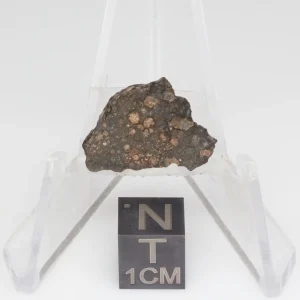 NWA 14353 CVred3 Meteorite 1.6g