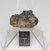 NWA 14353 CVred3 Meteorite 1.8g