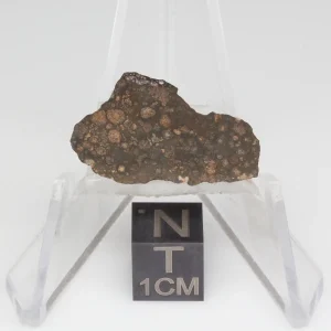 NWA 14353 CVred3 Meteorite 1.8g