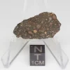 NWA 14353 CVred3 Meteorite 3.2g