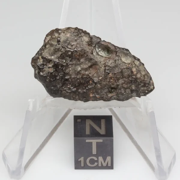 NWA 14353 CVred3 Meteorite 3.2g