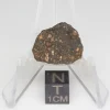 NWA 14353 CVred3 Meteorite 3.9g