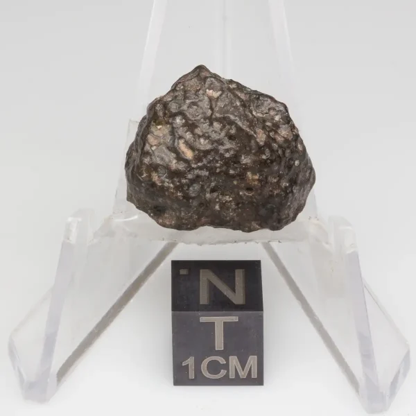 NWA 14353 CVred3 Meteorite 3.9g