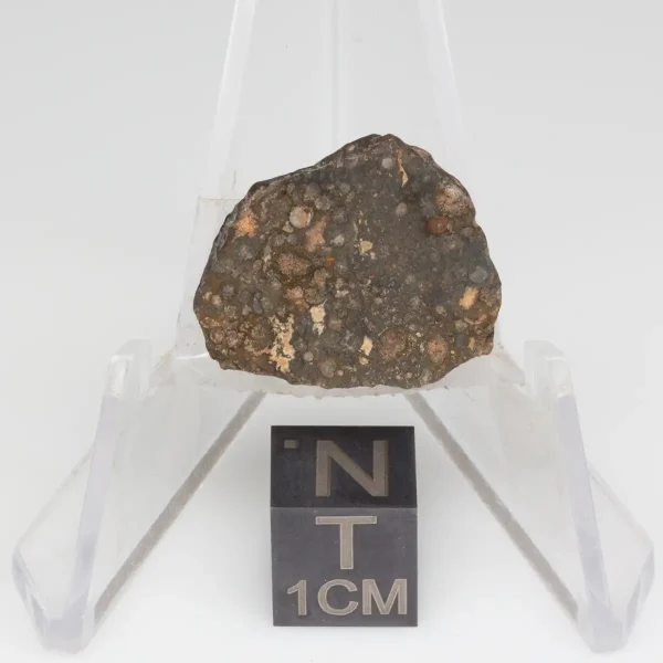 NWA 14353 CVred3 Meteorite 3.9g