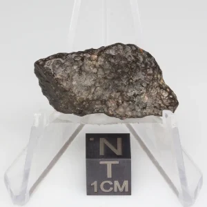 NWA 14353 CVred3 Meteorite 3.9g