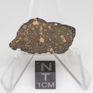 NWA 14353 CVred3 Meteorite 3.9g