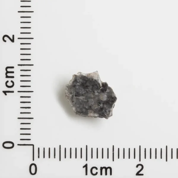 Bechar 003 Lunar Meteorite End Cut 0.33g