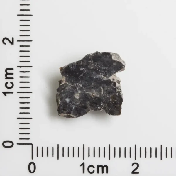 Bechar 003 Lunar Meteorite End Cut 0.77g