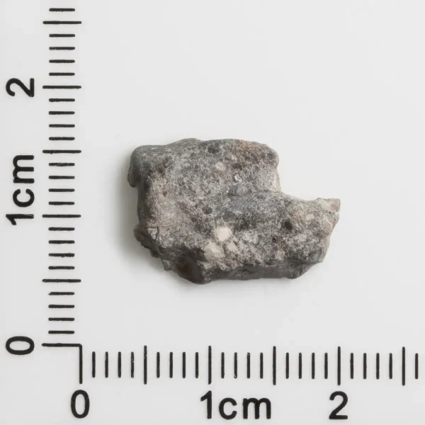 Bechar 003 Lunar Meteorite End Cut 1.06g