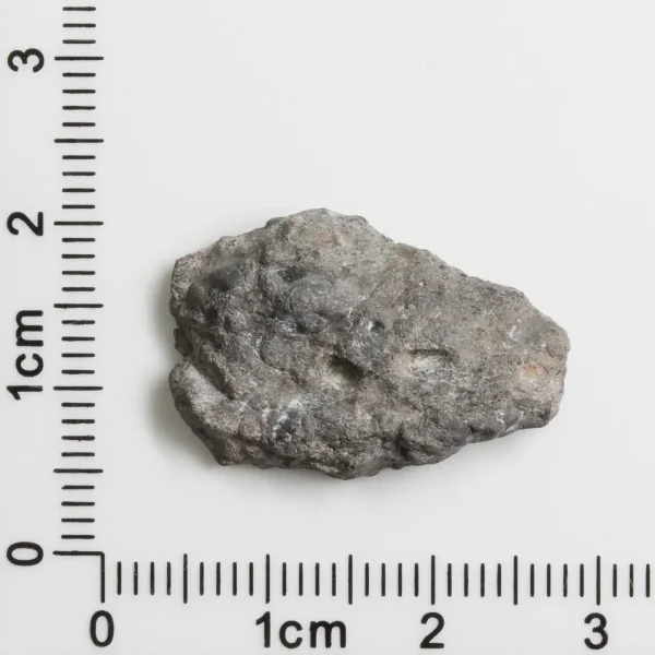 Bechar 003 Lunar Meteorite End Cut 3.02g