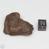 Gebel Kamil Iron Meteorite 46.8g