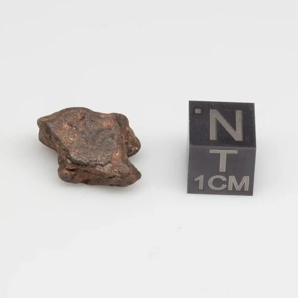 Agoudal Meteorite 4.8g