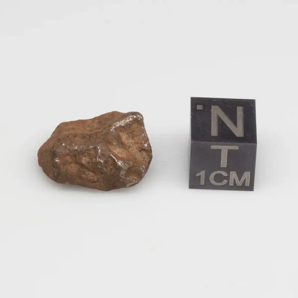 Agoudal Meteorite 6.7g