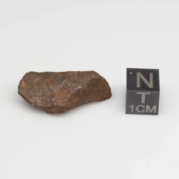 Agoudal Meteorite 8.7g