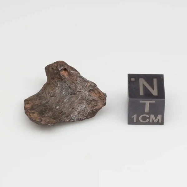 Canyon Diablo Meteorite 6.8g