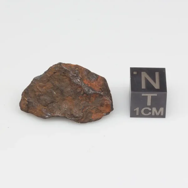 Canyon Diablo Meteorite 8.7g