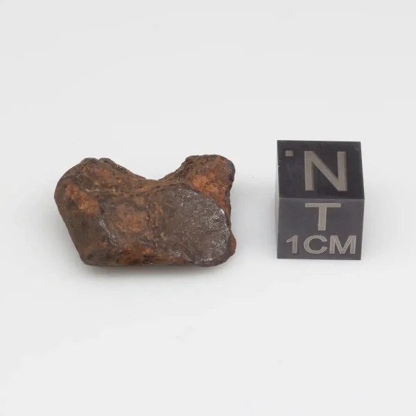 Canyon Diablo Meteorite 9.8g