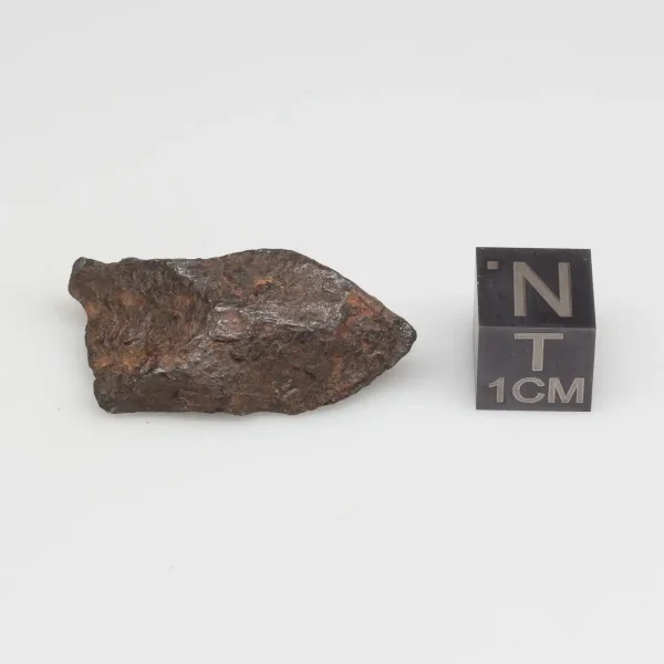 Canyon Diablo Meteorite 10.8g