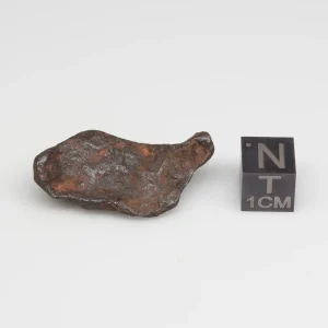 Canyon Diablo Meteorite 10.5g