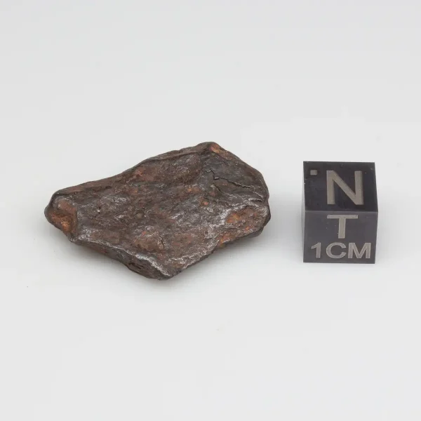 Canyon Diablo Meteorite 15.2g