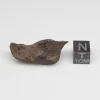 Canyon Diablo Meteorite 15.2g