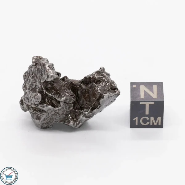 Campo del Cielo Meteorite 26.1g