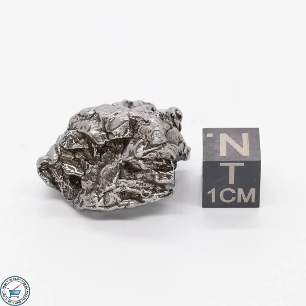 Campo del Cielo Meteorite 26.7g