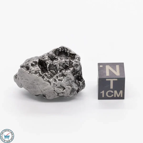 Campo del Cielo Meteorite 24.8g