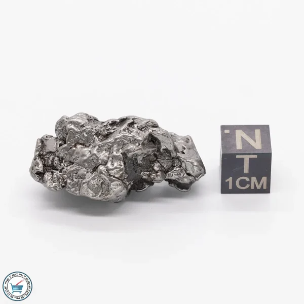 Campo del Cielo Meteorite 27.1g