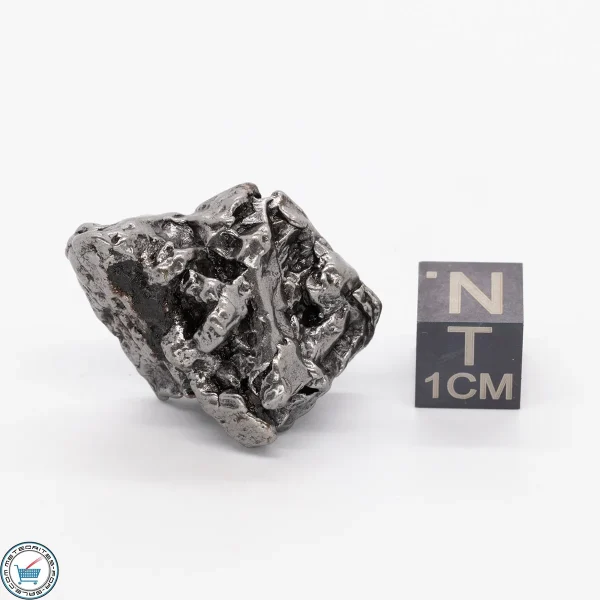 Campo del Cielo Meteorite 21.2g