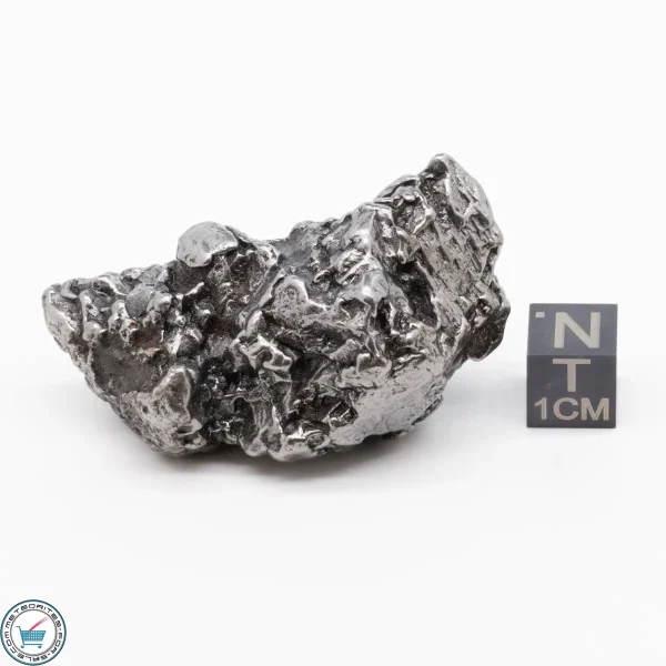 Campo del Cielo Meteorite 93.6g