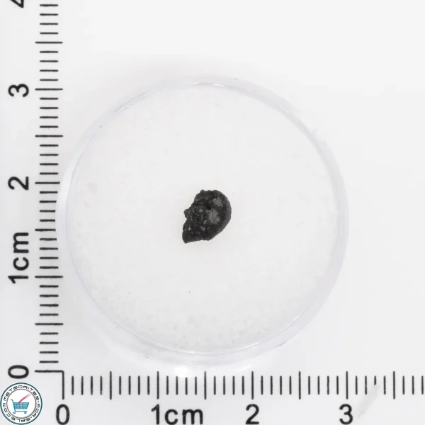 Tarda Meteorite 0.085g