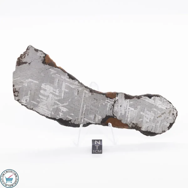 Toluca Meteorite 168.0g - Image 2