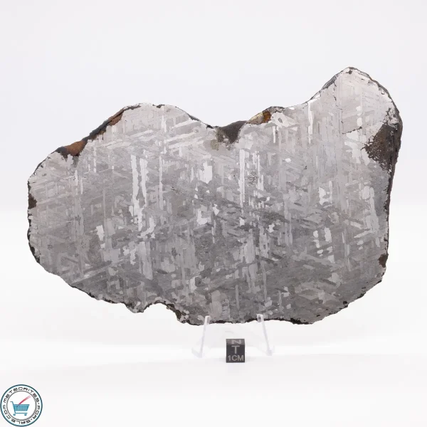 Toluca Meteorite 484.5g