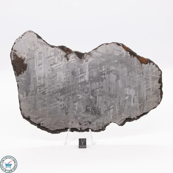 Toluca Meteorite 484.5g - Image 2